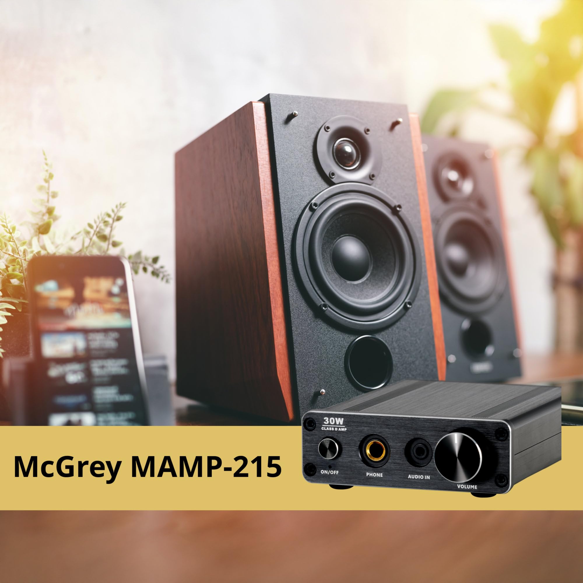 Pronomic MAMP-215 Mini Amplificatore HiFi 30 Watt, Ingresso stereo cinch