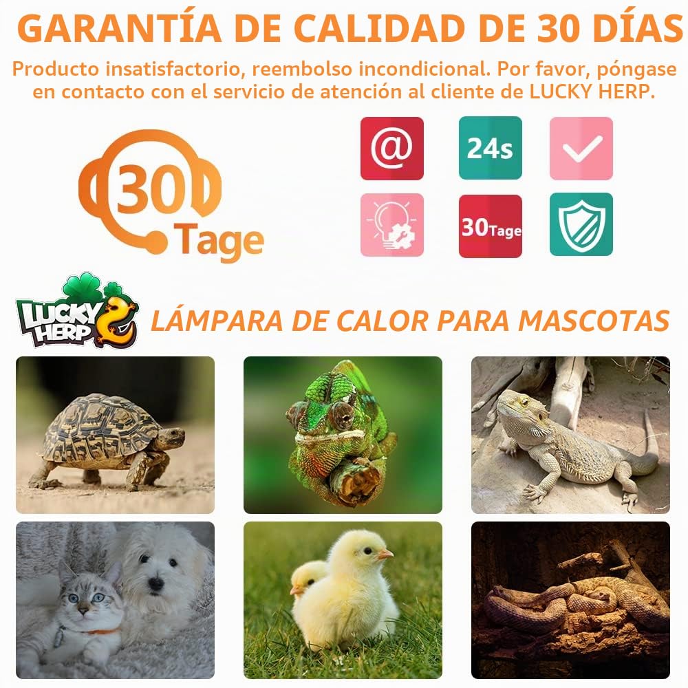 LUCKY HERP - Juego de 2 lámparas calefactoras de cerámica para reptiles (50 W, E27, terrario para reptiles, tortugas, dragones barbudos, pollo, perro