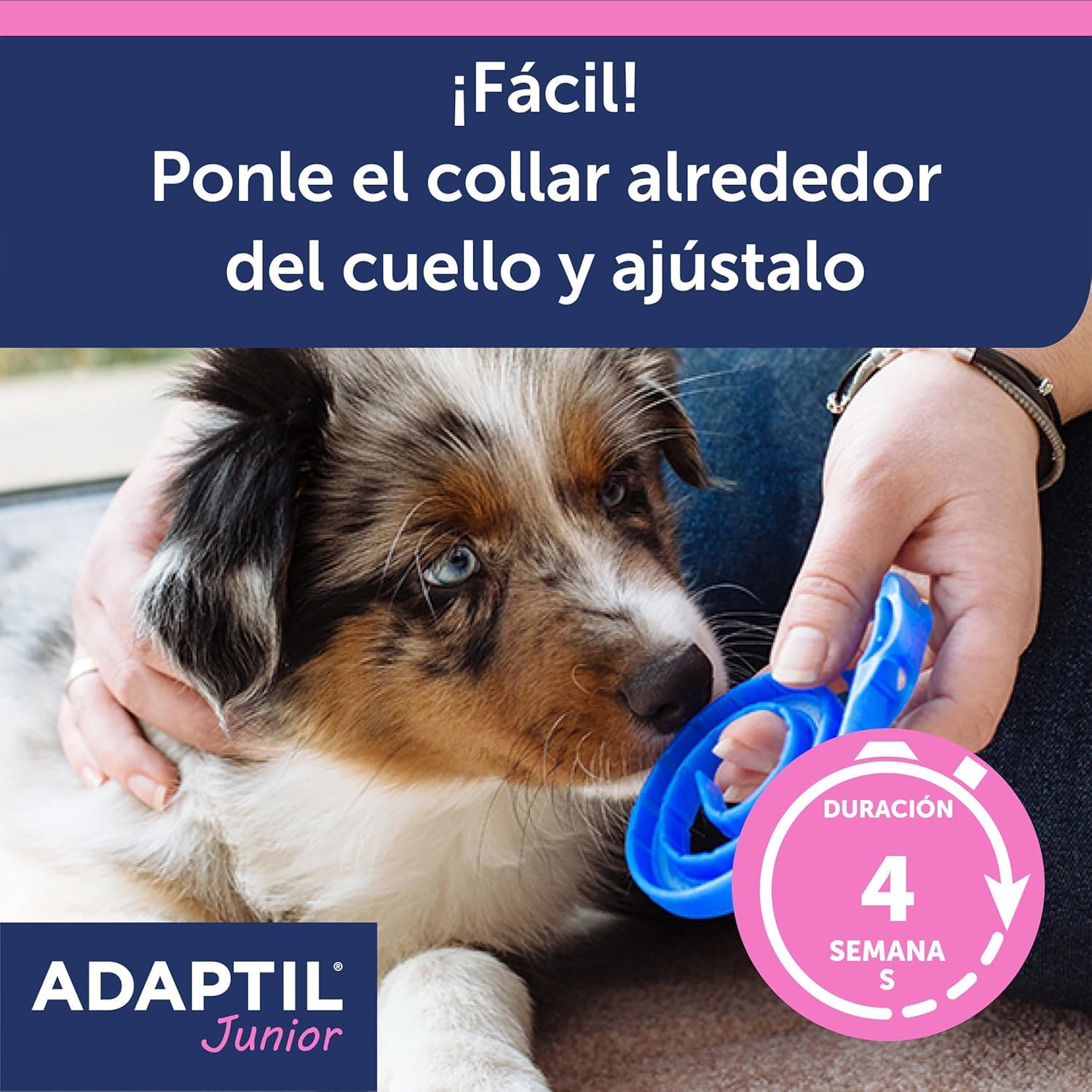 Adaptil Pack Antiestrés para Cachorros - Collar Junior + Spray Transport 60 ml - Calma y Seguridad - Reduce Miedos y Ansiedad - Ideal para Adaptación, Aprendizaje y Viajes