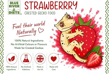 Blue River Diets Crested Gecko Diet | Strawberry Swirl | All Natural Low Fat Complete Gecko Food | 2.1oz