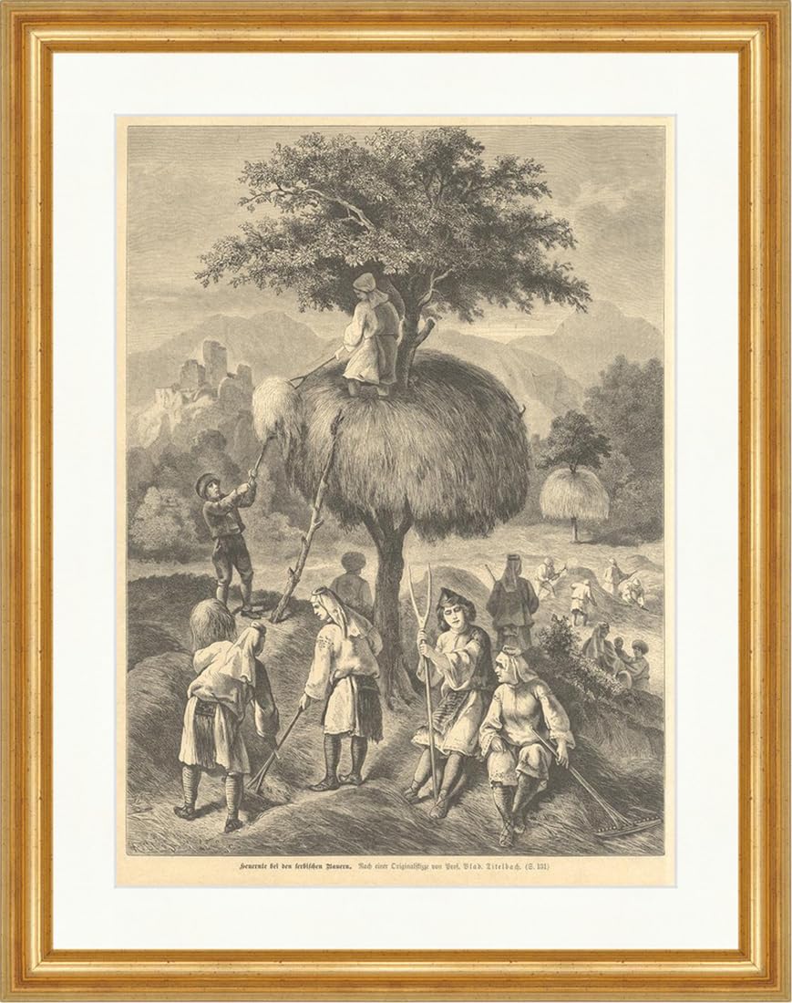 Gravure sur bois Titelbach foin serbe encadrée Biller Antik