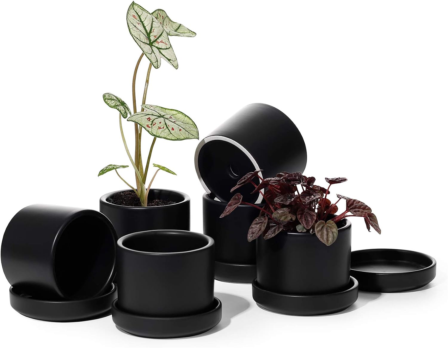 POTEY Succulent Planter 3.5 Inch Small Cylinder Ceramic Plant Pots with Drainage Holes and Trays for House Plant, Modern Home Decor - 800, Black, Set of 6