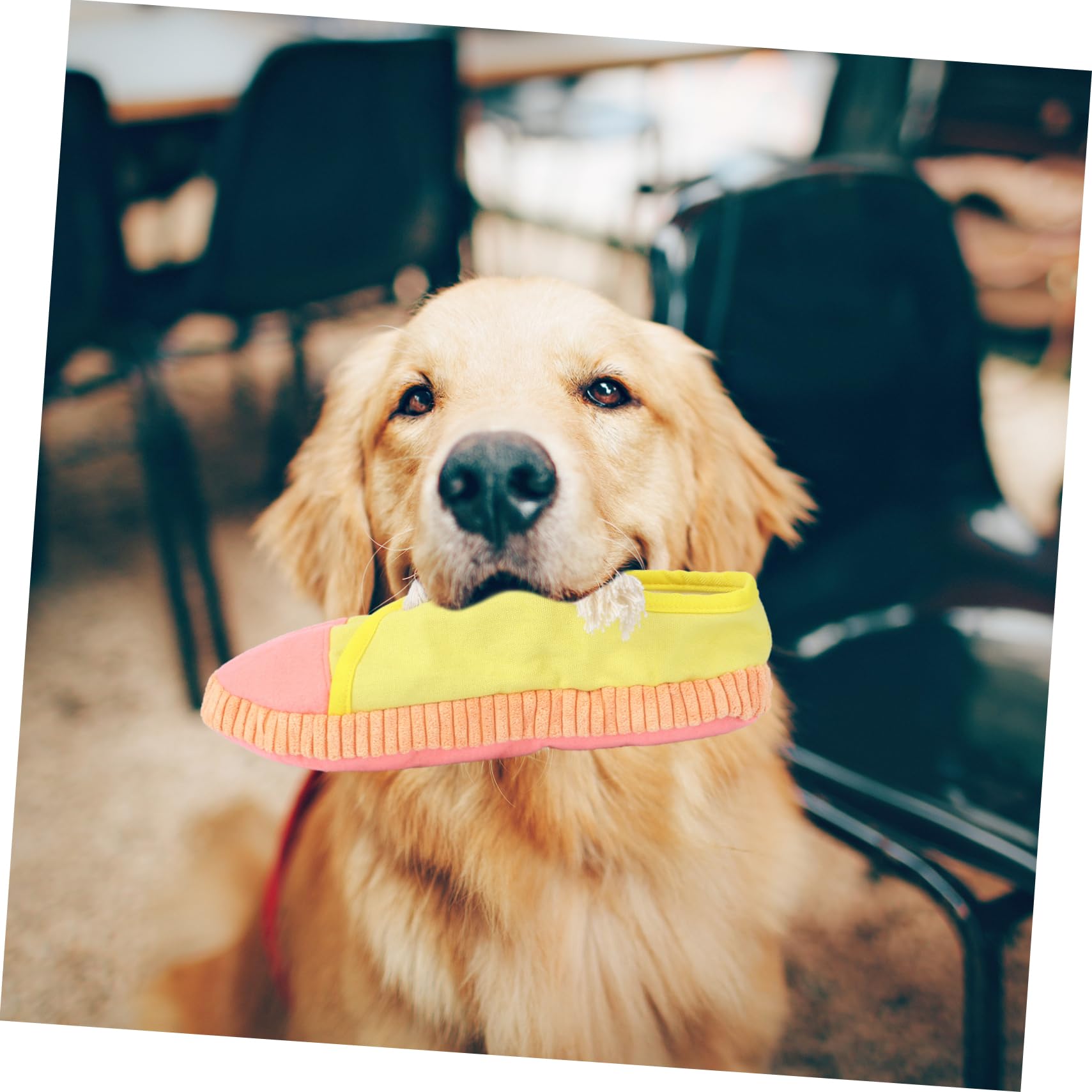 Toddmomy 3piezas Juguete para Mascotas Sonido Juguete Forma De Pantufla para Perros para Masticar y Limpiar Dientes Resistente y Duradero