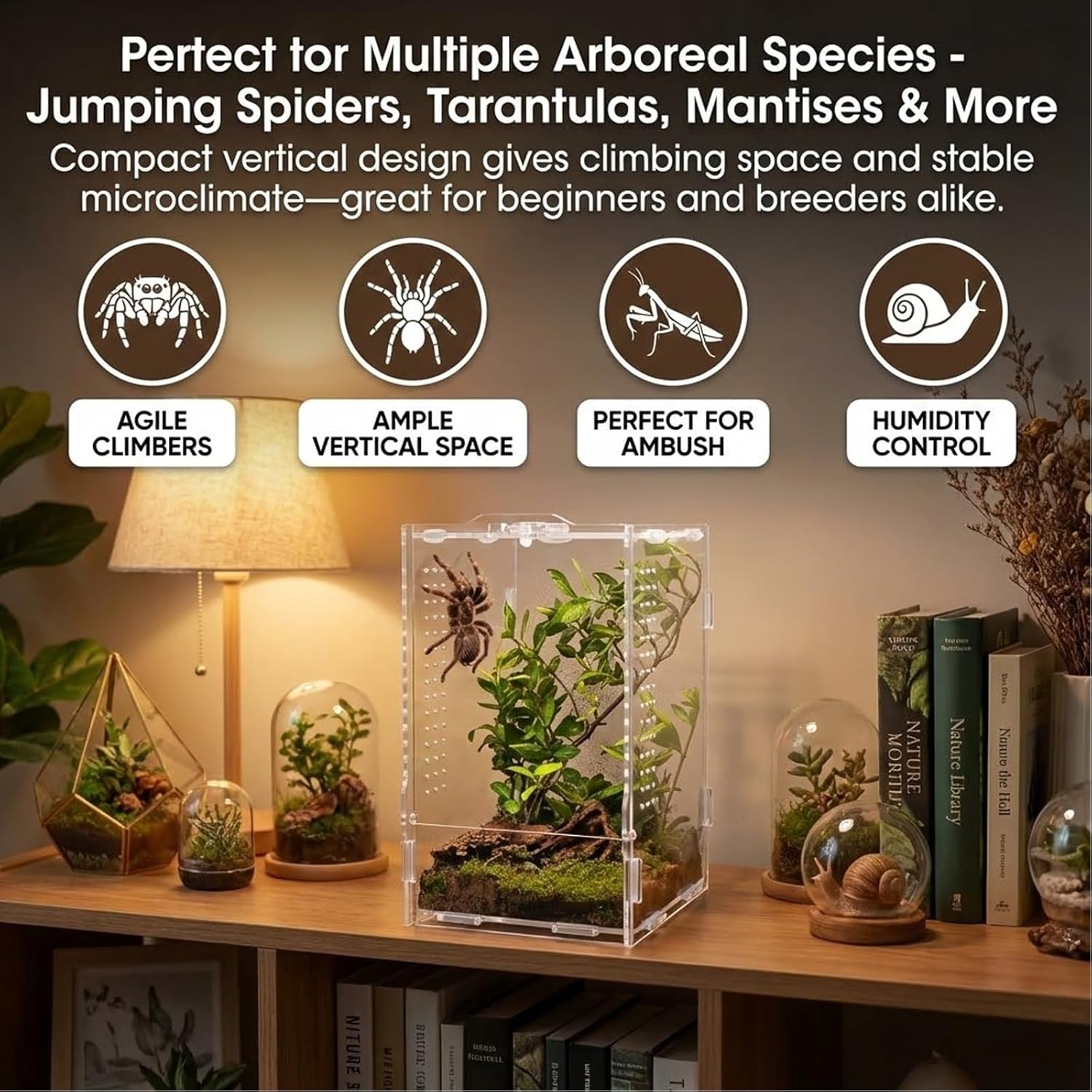 Acrylic Jumping Spider Enclosure: Tarantula Enclosure with Door Lock for Gecko Praying Mantis Snail - Front Opening Arboreal Reptile Terrarium Dual-Side Ventilation Bug Habitat for Desk Decor
