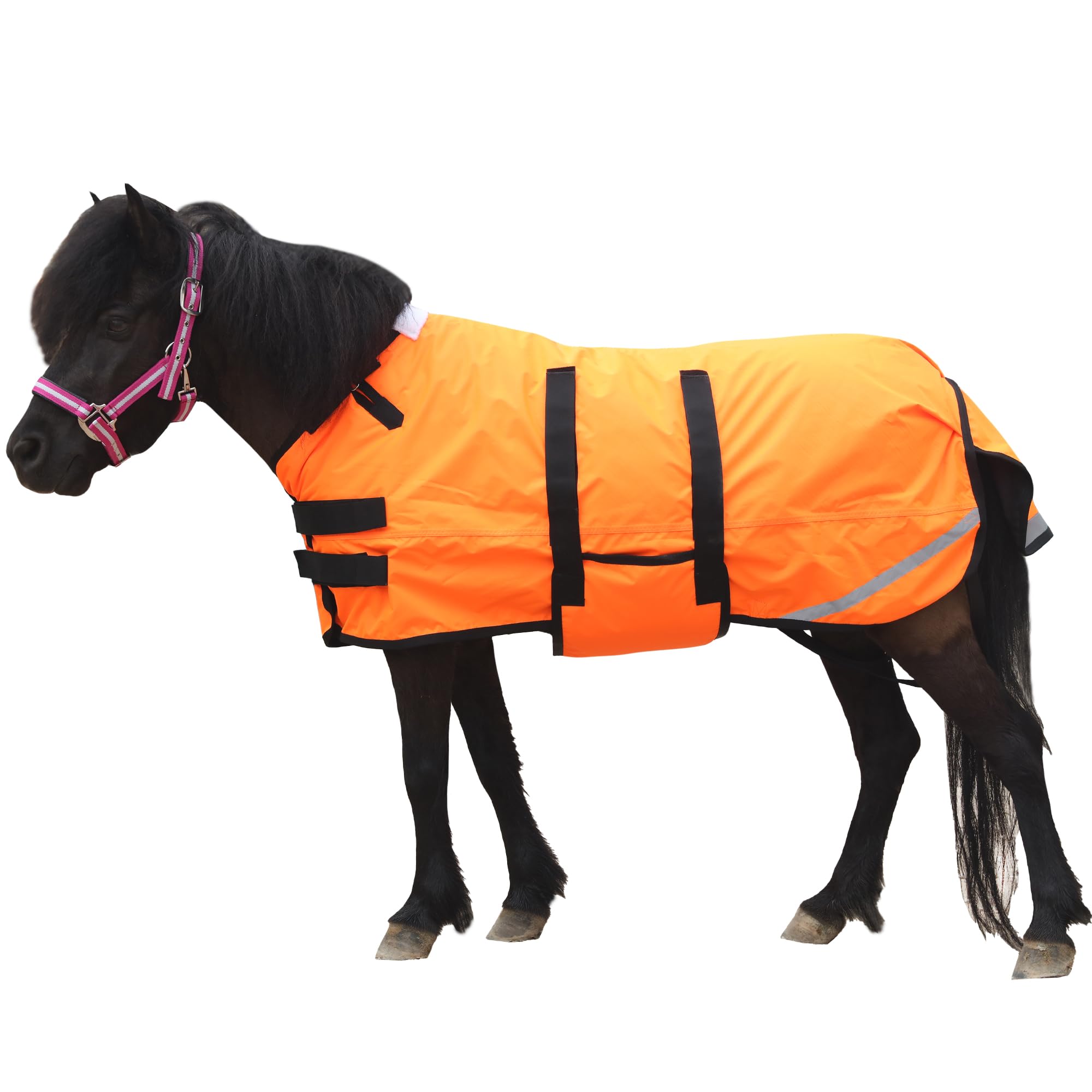 Leberna Foal Winter Horse Rug, 300D Breathable Mini Rug with Bellyband for Weanling Donkeys(150g Fill) (Orange, Large (3'6"-4'0"))
