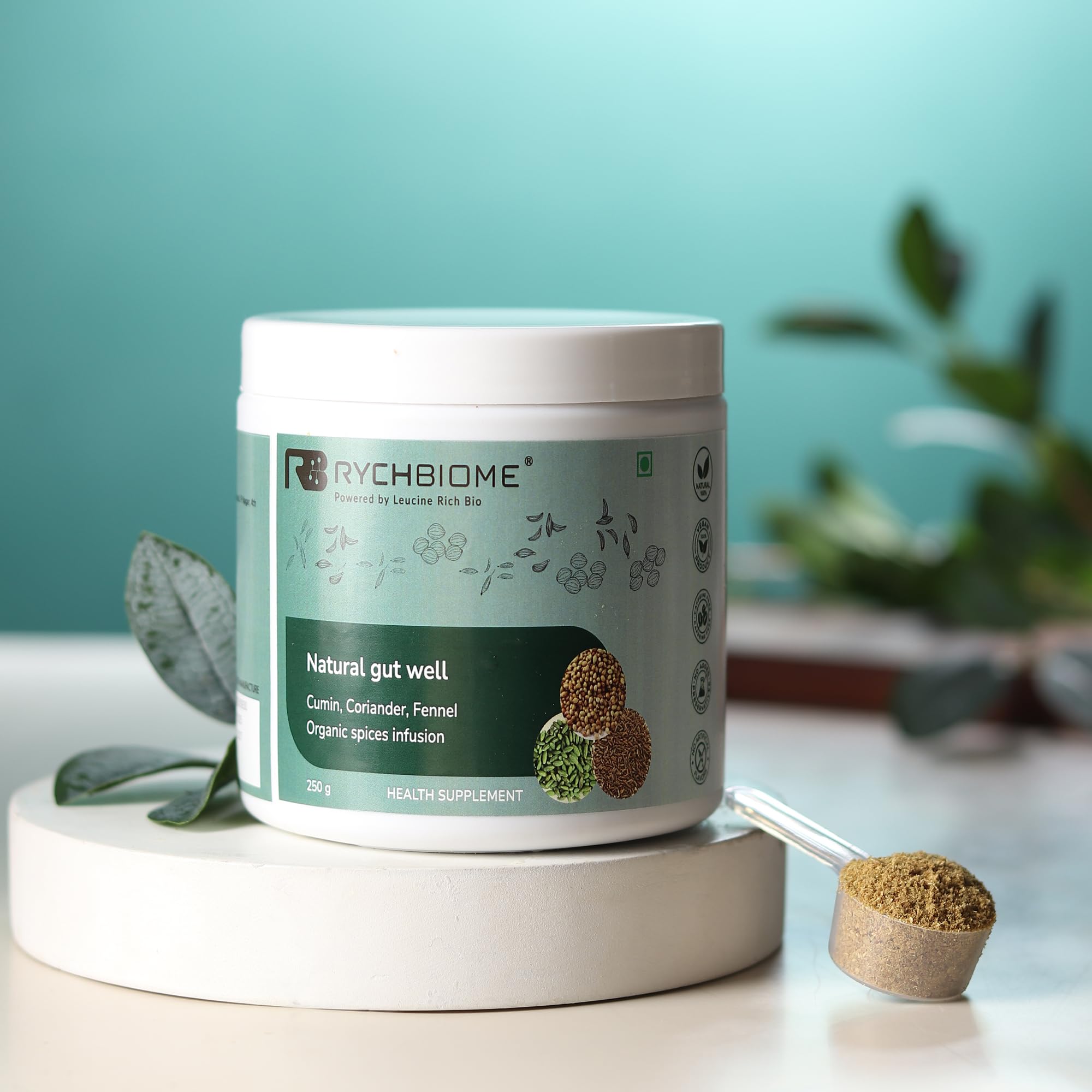 Natural Gut Well Organic Grade Gut Wellness Spice Blend – Cumin, Coriander & Fennel | Natural High-Fiber Herbal Supplement | Zero Sugar | Supports Digestion & Microbiome Health | 250 g |-image-29