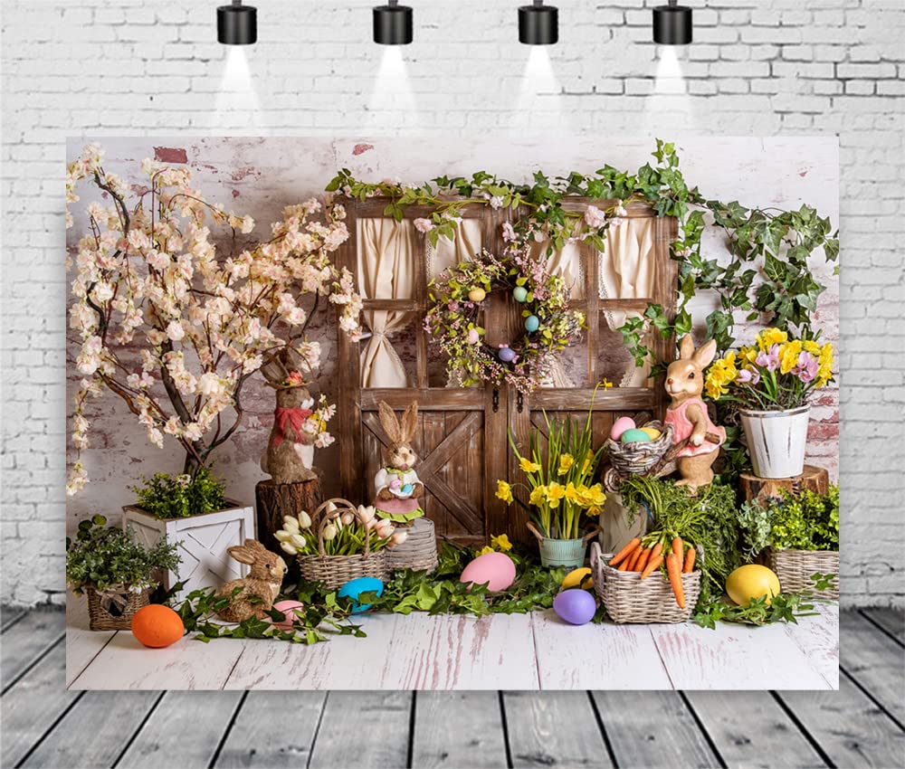 Photo Studio Background