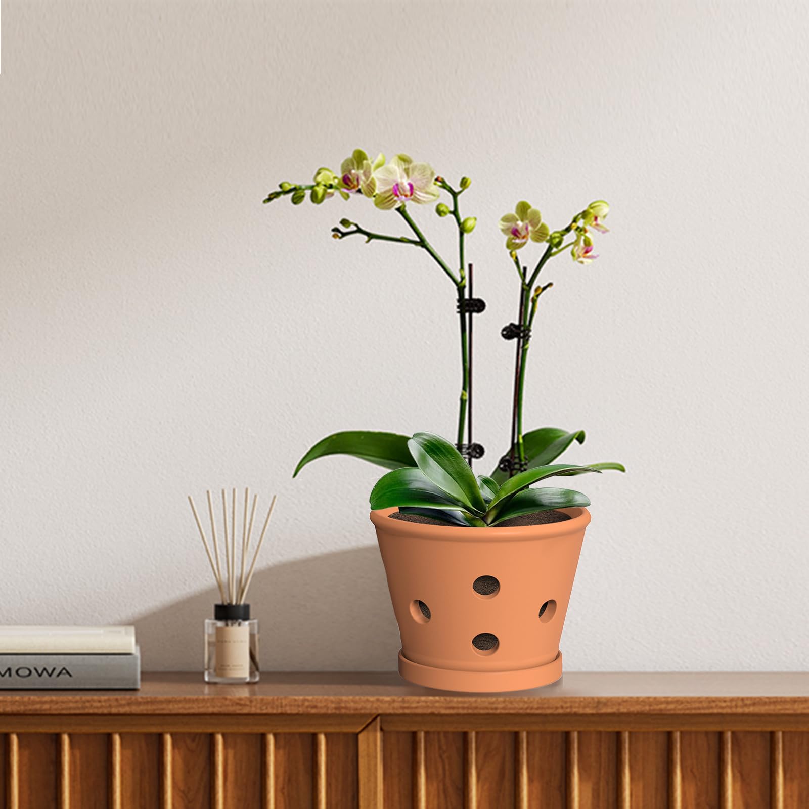 Orchideentöpfe aus Terrakotta, 15,2 cm, Orchideentopf mit Löchern und Untersetzern, 3 Stück, Ton-Orchideen-Pflanztöpfe zum Umtopfen, Terrakotta-Topf, großer Bulk-Blumentopf für drinnen und draußen,