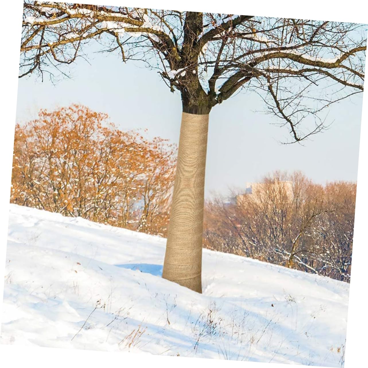 HEMOTON 4 di Copertura per Alberi Antivento per Piante da Esterno Resistente Gelo
