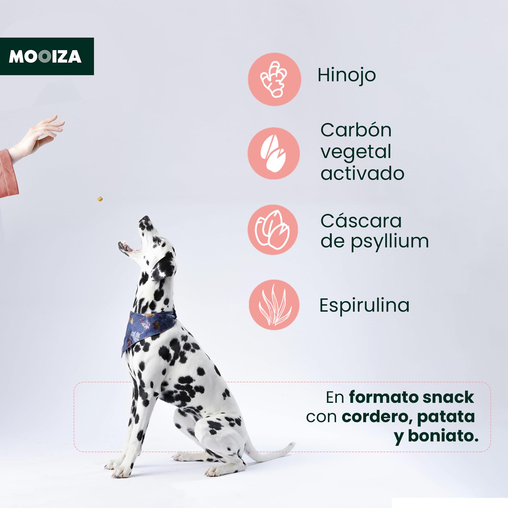 Prebiotici naturali per cani e gatti con Spirulina + Psyllium e carbone vegetale attivato - supporto flora intestinale - integratore nutrizionale per immunità digestiva in formato biscotti 300g |