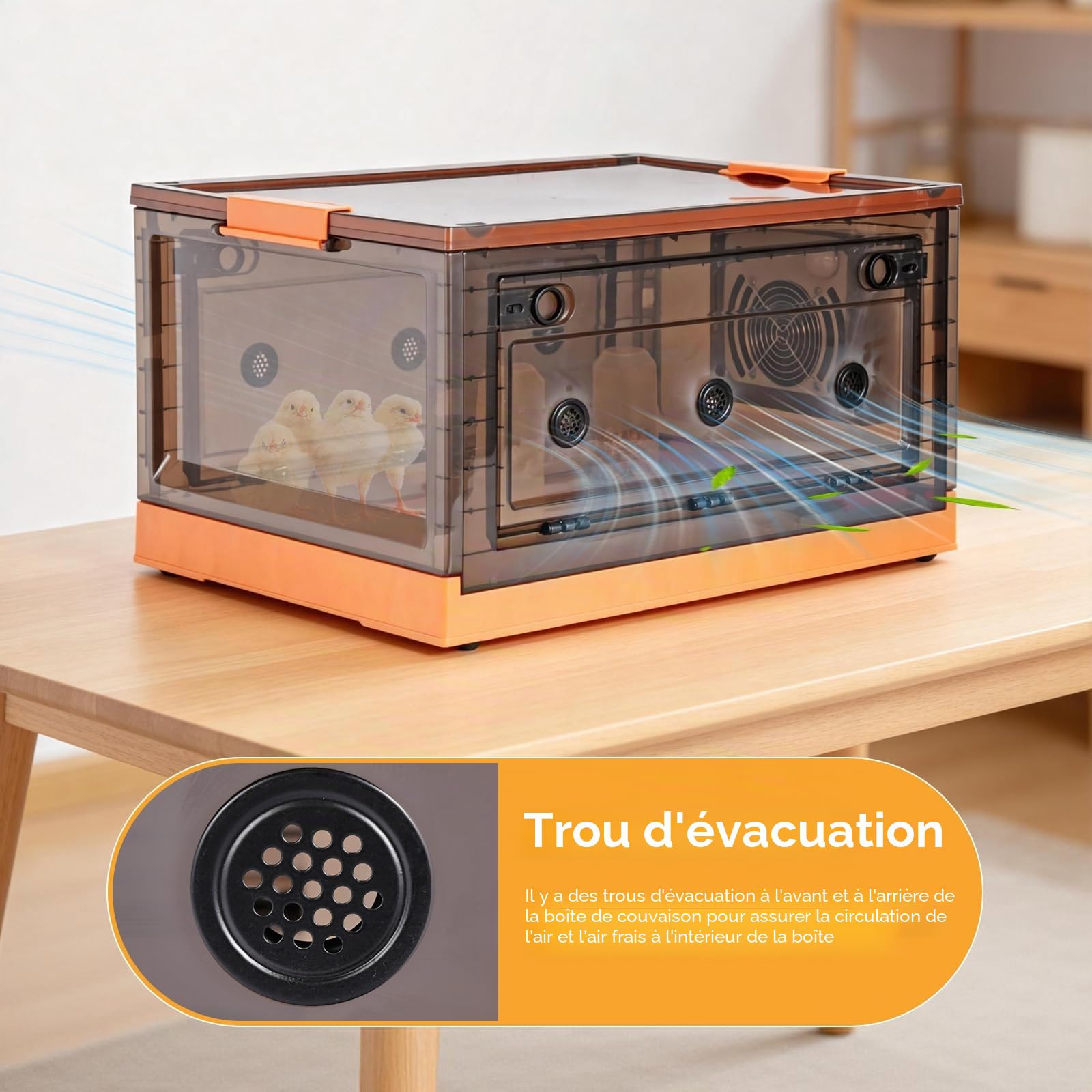 Kit de Boîte D'Élevage de Poussins Pliable, Couveuse Chauffage pour Poulailler avec Mangeoire et Abreuvoir Automatique, pour Les Canetons, Chatons, Chiots, Lapins et Hamsters