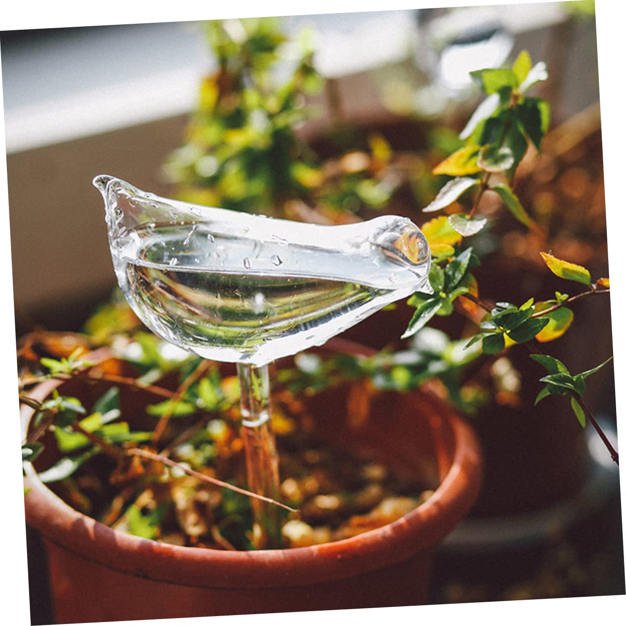 TOYANDONA Lazÿer 4 Pièces Globes à Arrosage Automatique en Verre Borosilicaté pour Plantes d'Extérieur, Arrosage des Bulbes, Usage Facile