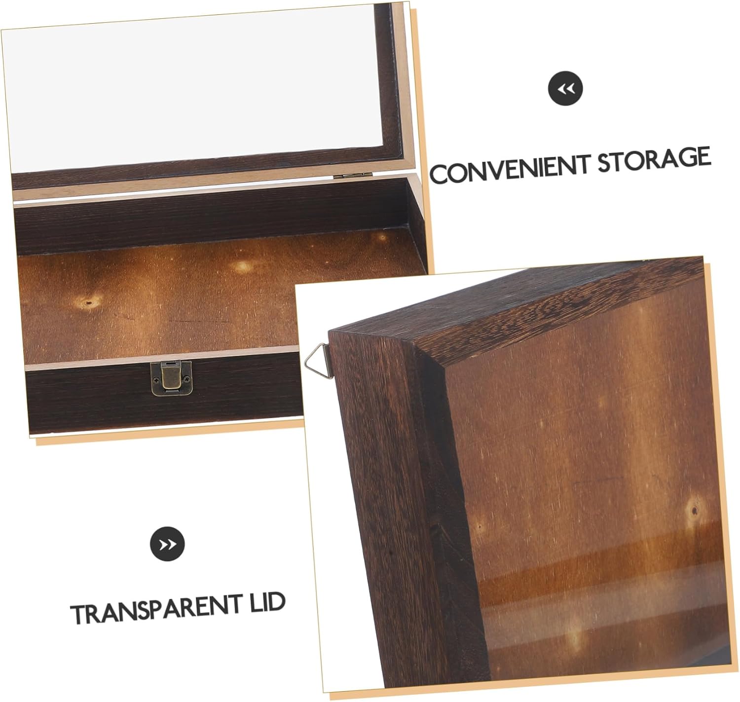 Butterflies Specimen Display Case Vintage Shadow Box Bug Container for Boys and Girls Specimen Display Box Multi-Functional Storage Case