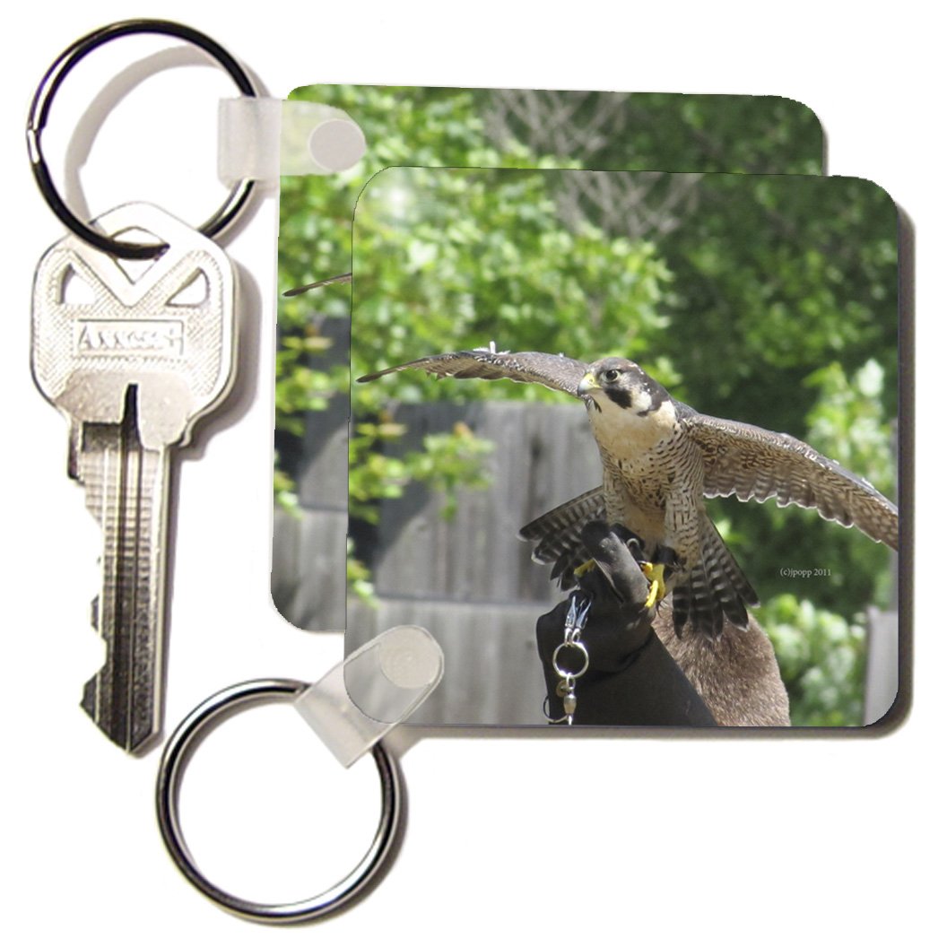 3dRose3dRose Peregrine Falcon - Key Chains, 2.25 x 4.5 inches, set of 2 (kc_24976_1)