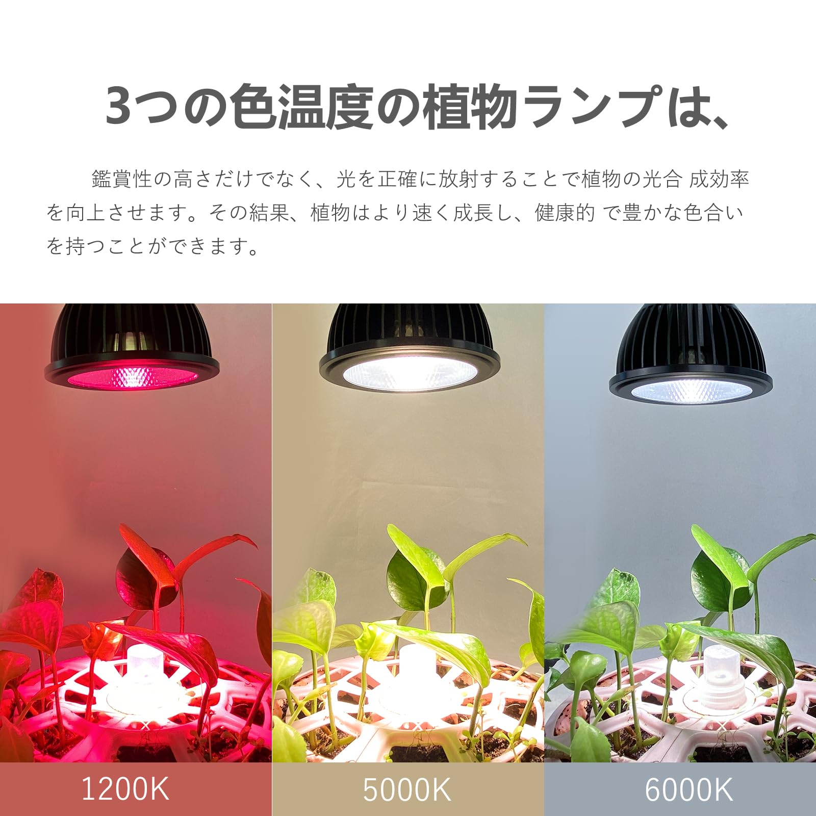 Amazon.co.jp: Hipargero植物育成ライト HG-SA E26口金 22W高PPFD 長 