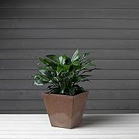 Vista 2 de Artstone 35129 Ella - Maceta cuadrada de 12 pulgadas, color óxido