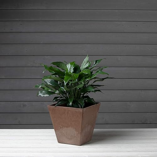 Miniatura 2 de Artstone 35129 Ella - Maceta cuadrada de 12 pulgadas, color óxido