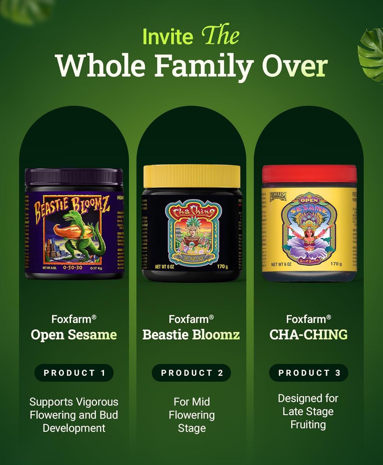 FoxFarm Dirty Dozen Liquids & Solubles Starter Pack - 3 Solubles (Open Sesame, Beastie Bloomz, Cha Ching) & 9 Pint Liquids (Big Bloom, Tiger Bloom, Grow Big & More) for Gardening Success