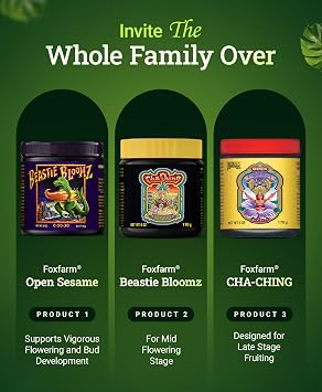 FoxFarm Dirty Dozen Liquids & Solubles Starter Pack - 3 Solubles (Open Sesame, Beastie Bloomz, Cha Ching) & 9 Pint Liquids (Big Bloom, Tiger Bloom, Grow Big & More) for Gardening Success