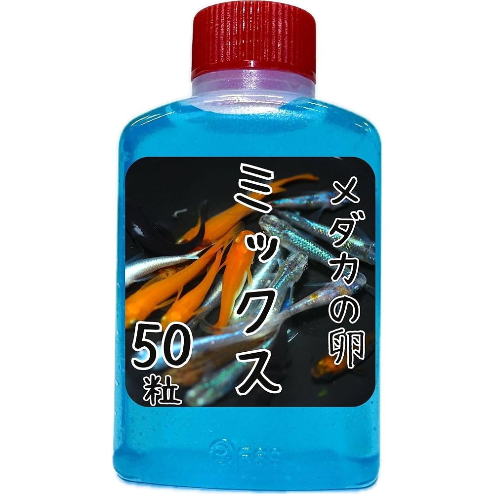 Amazon | 【ミックス メダカ 有精卵】《50粒》高発眼率／安心