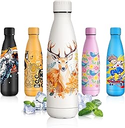 Insulated Water Bottle, 500 ml, Double Walled, Personalized Insulated Bottle, BPA-Free Stainless Steel Water Bottle for Adults, School, Fitness