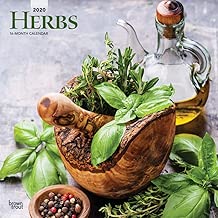 Herbs 2020 12 x 12 Inch Monthly Square Wall Calendar, Gardening Outdoor Home Country Nature Food