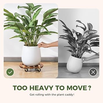 Bamworld 2 pack Plant Trolley Heavy Duty Plant Caddy with Wheels 12 Inch Rolling Plant Stand with 360 Swivel Lockable Casters for Heavy Duty Plant Pots Indoor Outdoor Dark Brown