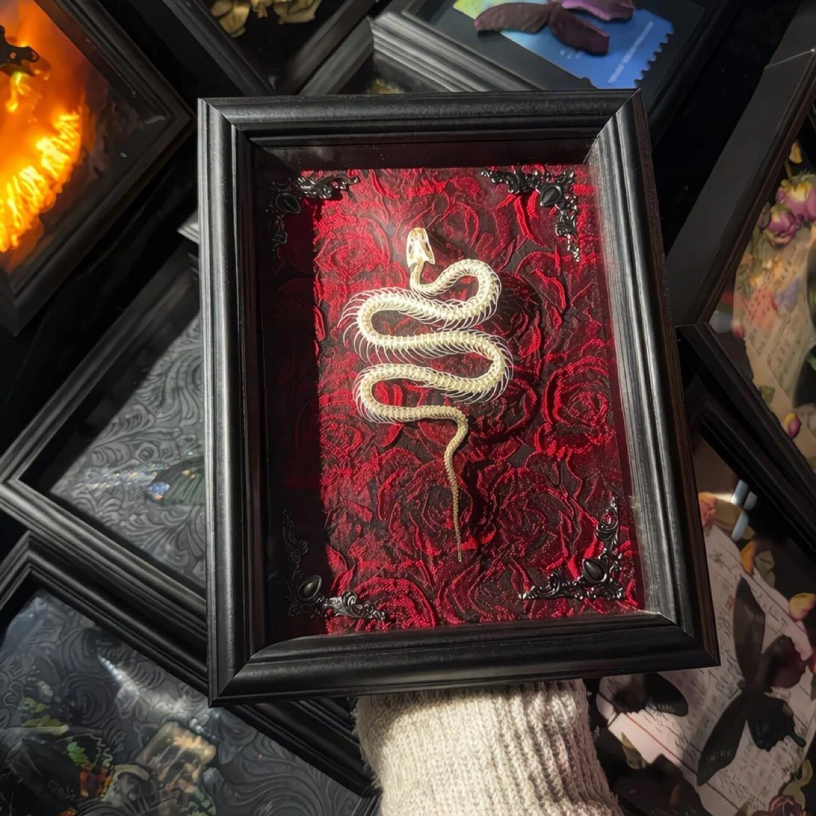Farfalla Incorniciata con Scheletro di Serpente - Campione di Insetto Gotico - Oggetti da Collezione di Tassidermia Arte da Parete Decorazione per la Casa,B