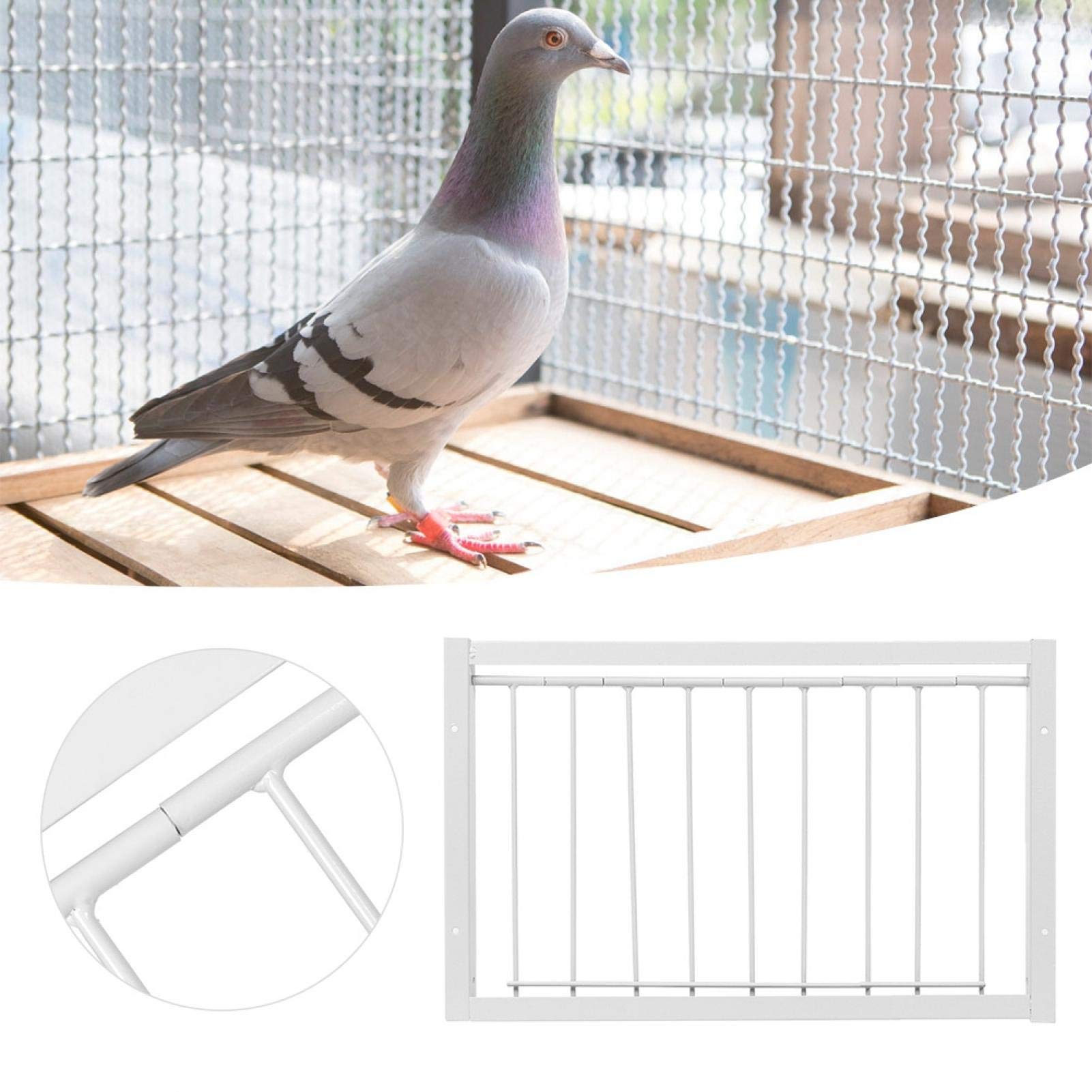 Trampa en T for jaulas de pájaros, Puerta de Paloma, Barras de Alambre, Marco de Entrada, Trampa en T for Puerta de casa de pájaros y palomas/717