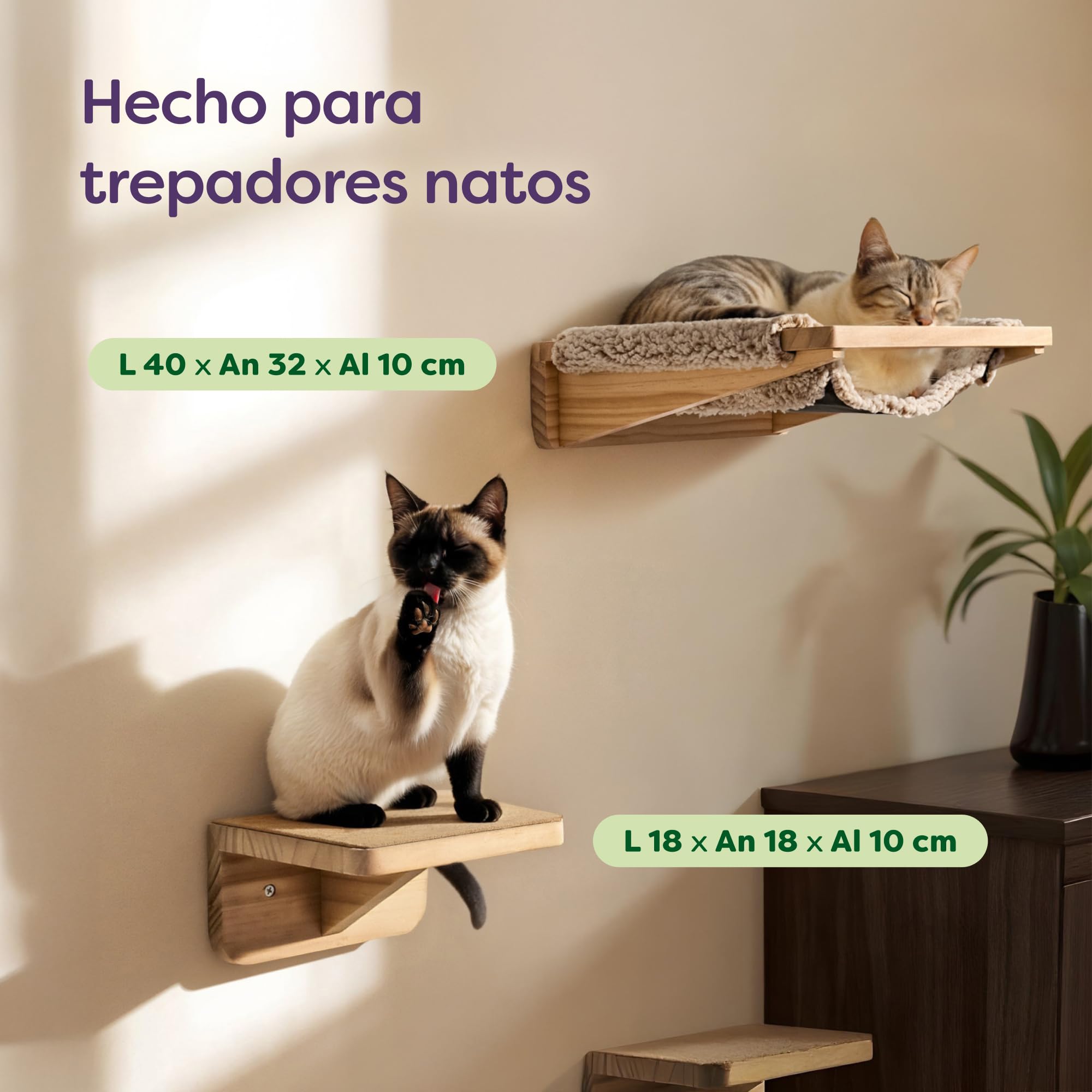 Knupis Estantes de Pared para Gatos con Hamaca & 2X Escaleras – Madera de Pino Maciza FSC®, Hamaca de Pared Resistente hasta 30 kg – para Juego & Comodidad - Beige