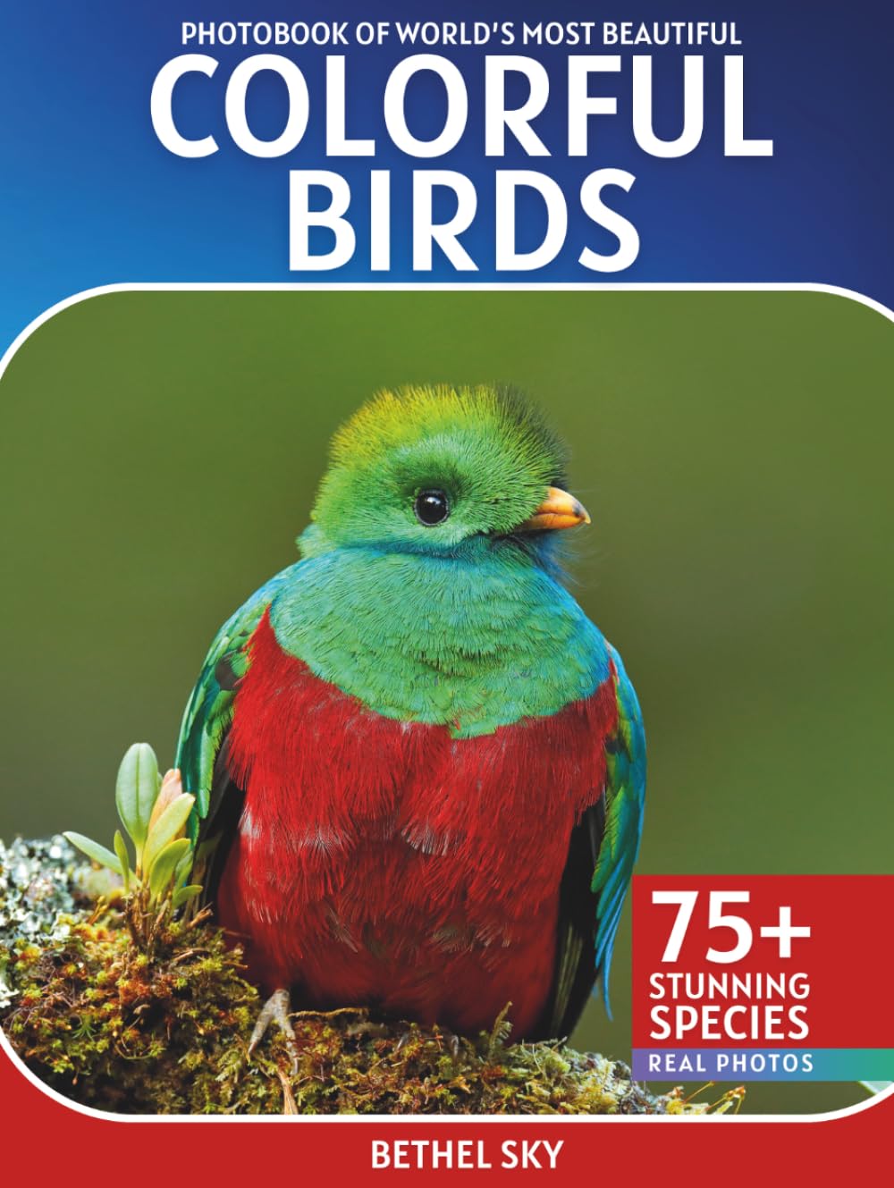 Colorful Birds Photobook: A Stunning Visual Journey Through the World's Most Vibrant Birds