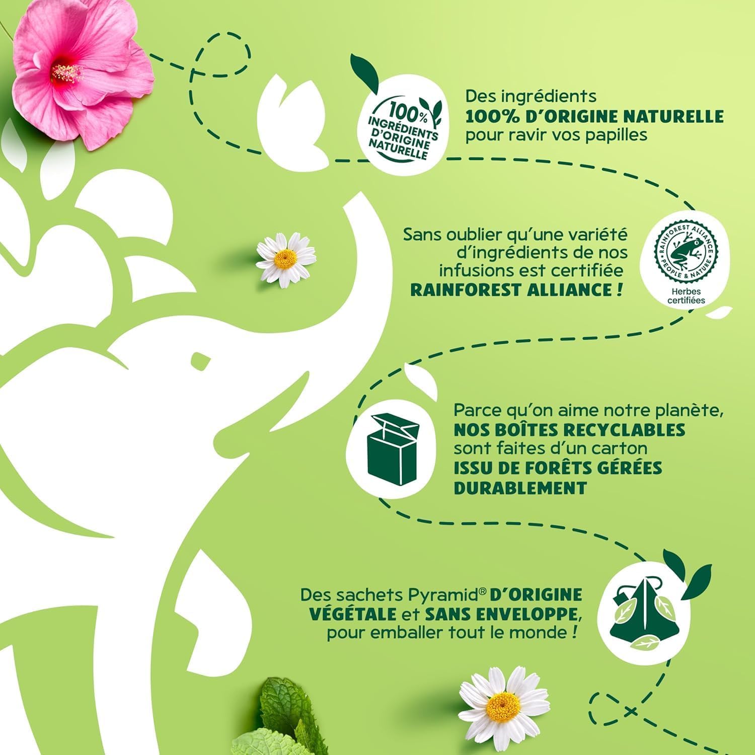 Éléphant - Routine Bien-être & Fruités + 1 théière Eléphant Mystère offerte | Infusions 120 Sachets Pyramid® | 100% d'ingrédients d'origine naturelle | Lot de 6 x 20 sachets