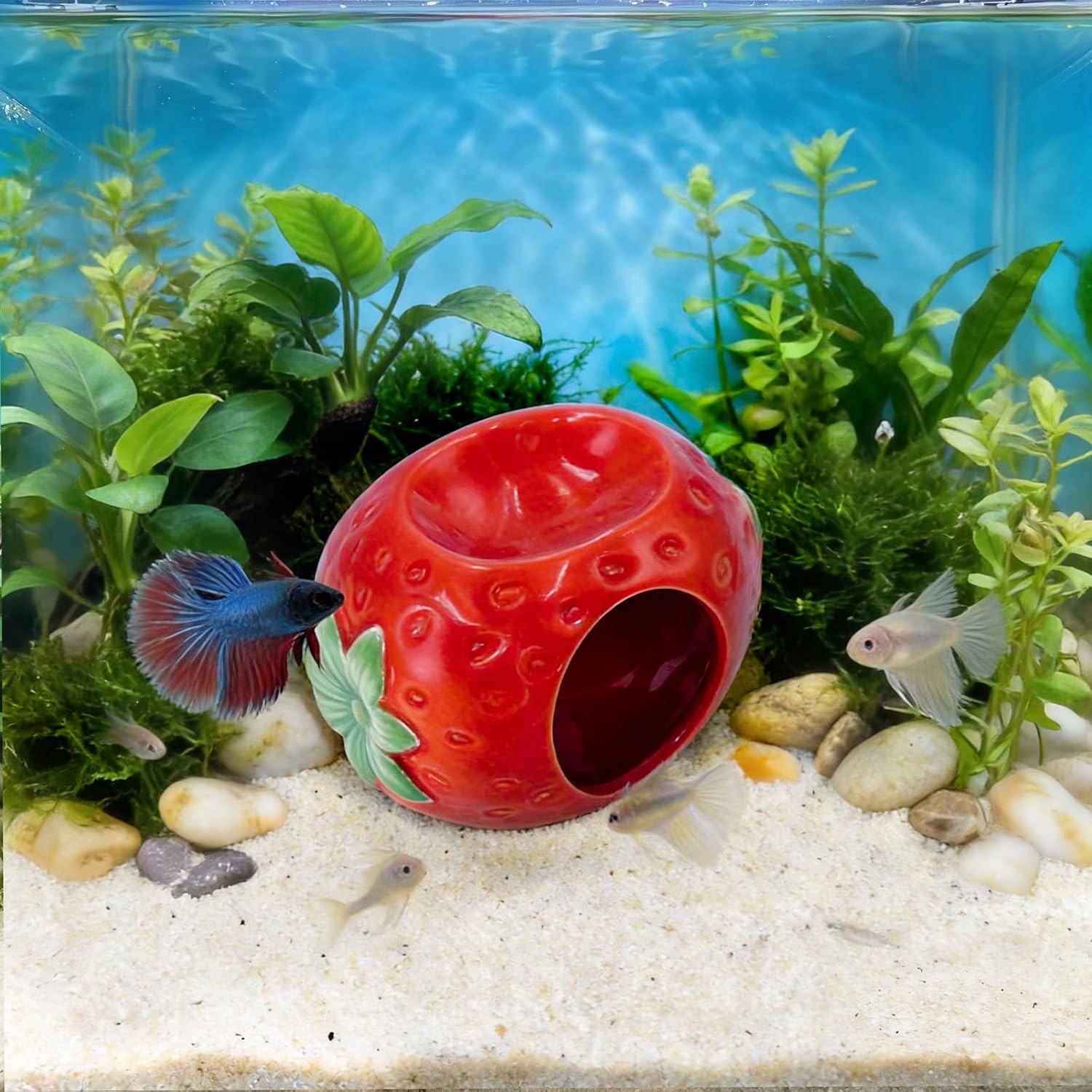 Cute Aquarium Cave Decor for Betta Fish, Fish Tank Hideout Decoration image 5