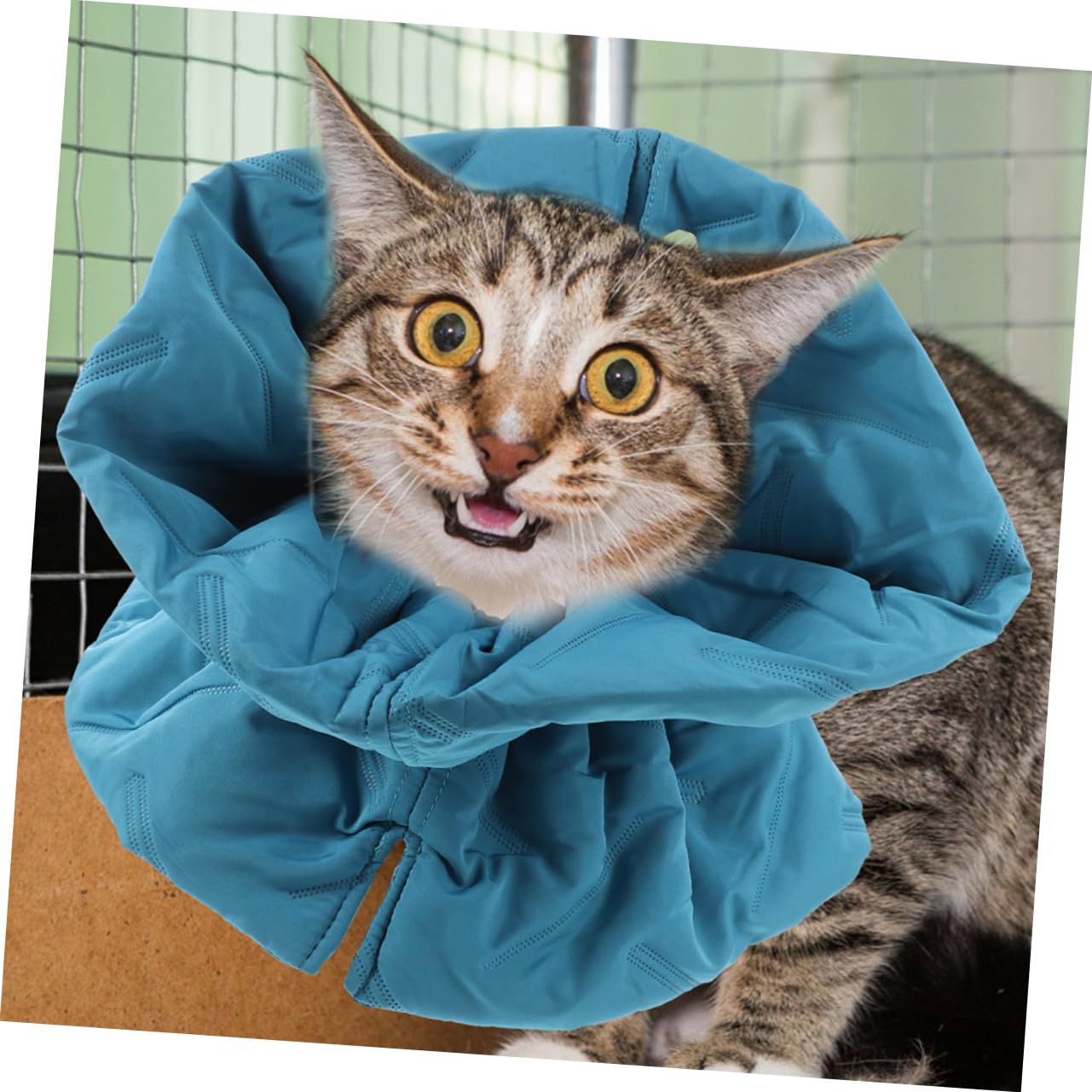 INOOMP 4pezzi Collare Elisabettiano Regolabile Per Gatti Cone Protettivo Morbido Traspirante Per Comfort e Visibilità Garantiti Collare Per Animali Domestici