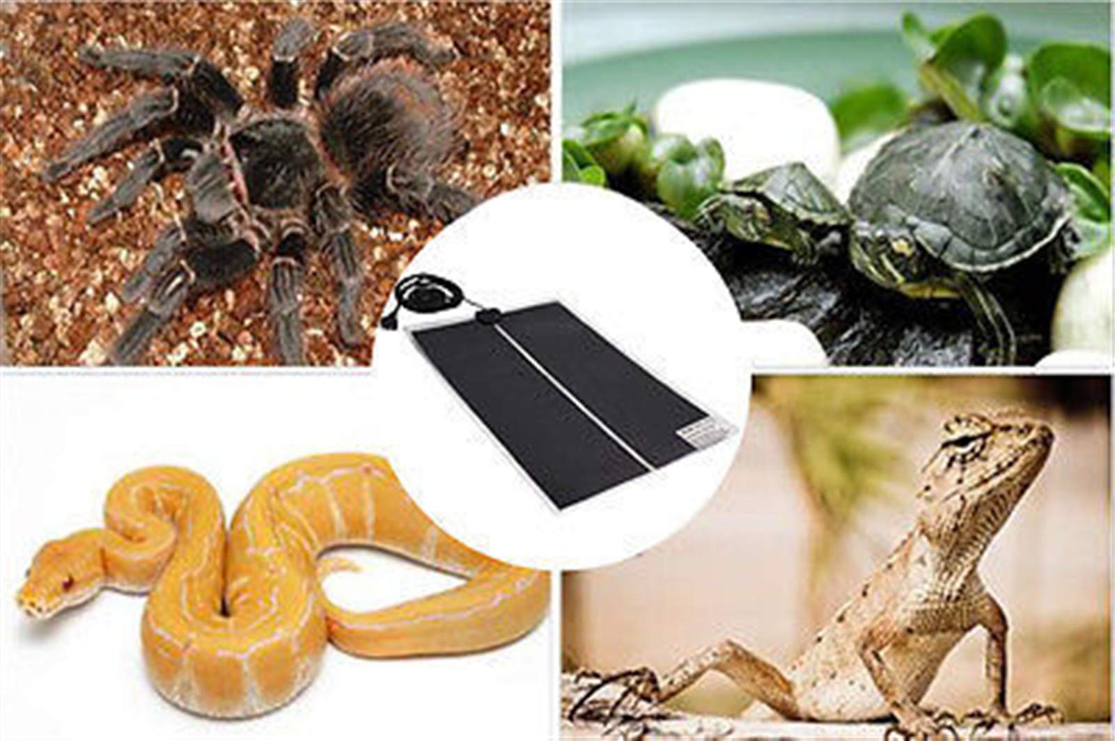 Calentadores de manos Heat Mat 20W Reptile Incubadora para animales Calefacción Pad