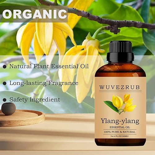 Miniatura 204 de Aceites Esenciales de Orégano, 60ML Aceite Esencial Puro y Natural para Difusor de Aromaterapia - Orégano / 2 Fl Oz