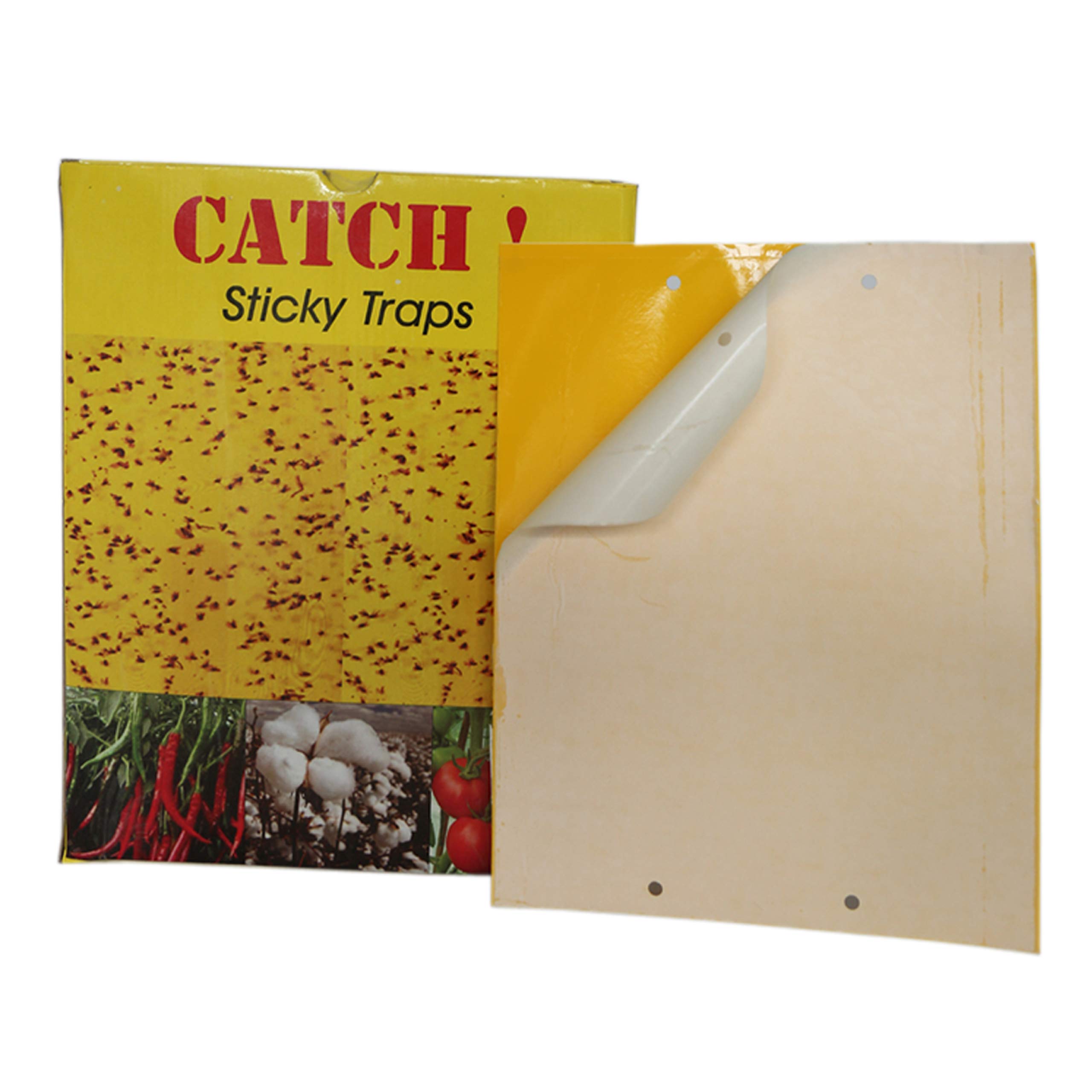Buy ACTIVE IPM Sticky Traps/Glue Pads (YellowBig 20 Nos) Pest Control