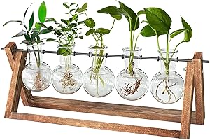 Home Plant Decor Hydroponics Planters