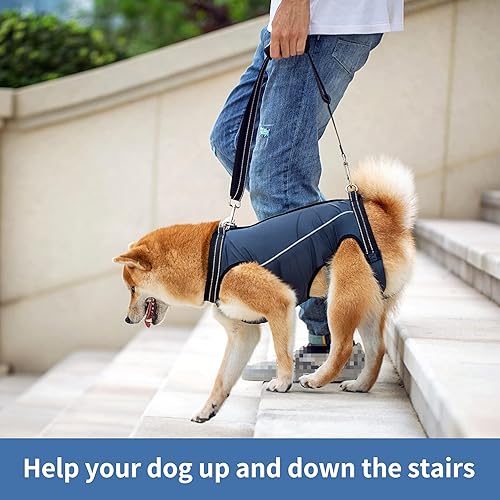 Miniatura 3 de Arnés de elevación para perros, soporte de cuerpo completo y recuperación para mascotas, correas ajustables con asa para viejos, lesiones en las