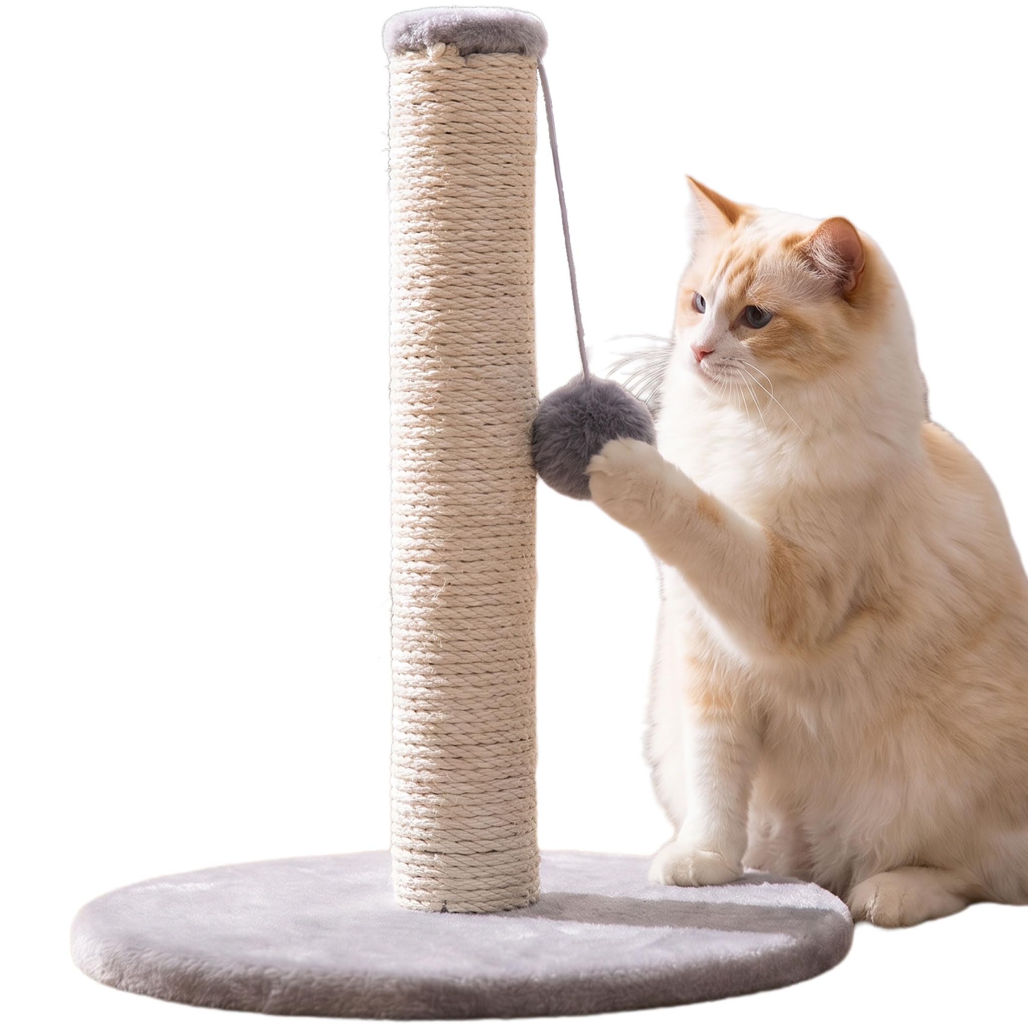 Cat Scratching Post for Indoor Cats, Sisal, Grey, 33 cm, with Dangling Pom-Pom Toy, Round Base