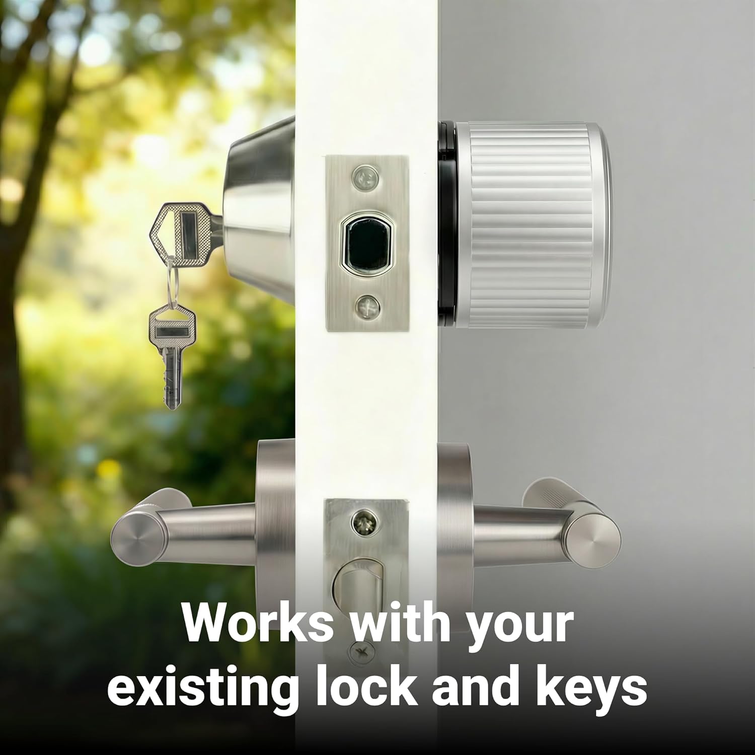 71eeF5a5W2L. AC SL1500