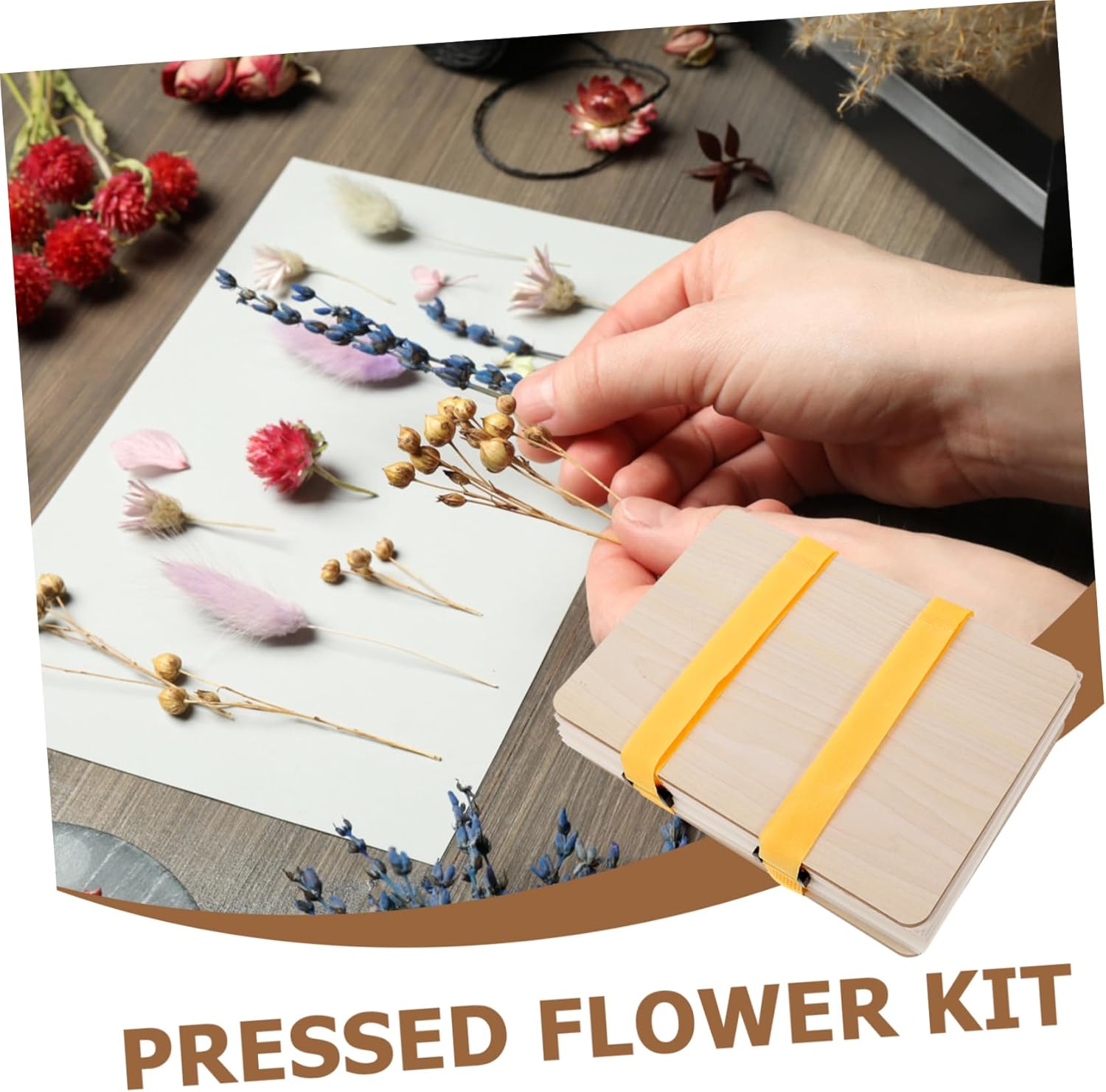 ARTIBETTER 1set Flower Press Tools for Plant Specimens Includes Pressing Kit for Crafting Dried Flowers Safe Material Portable and Reusable for Scrapbooking Art Projects