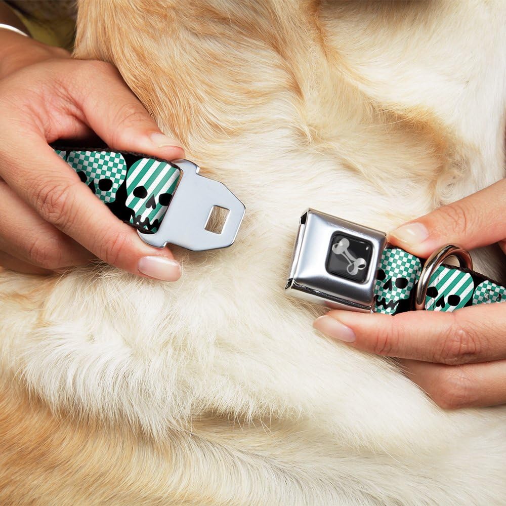 Buckle-Down Seatbelt Buckle Dog Collar - Checker & Stripe Skulls Black/White/Green - 1.5" Wide - Fits 18-32" Neck - Large