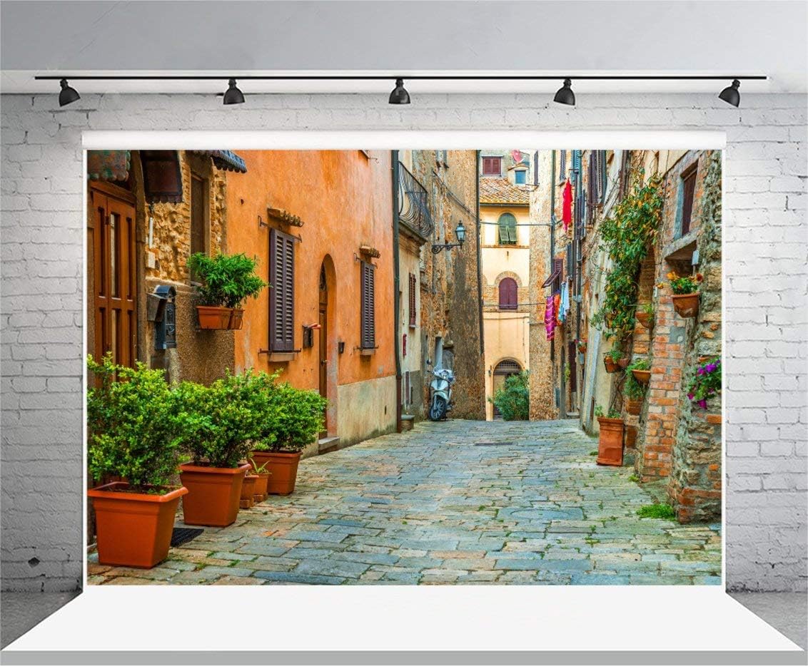 Laeacco 10x6.5ft Vinyl Backdrop Photography Background Italy Old Town Small Narrow Alley Street Landscape European Building Green Vine Children Adults Travel Theme Backdrop Photo Studio Props