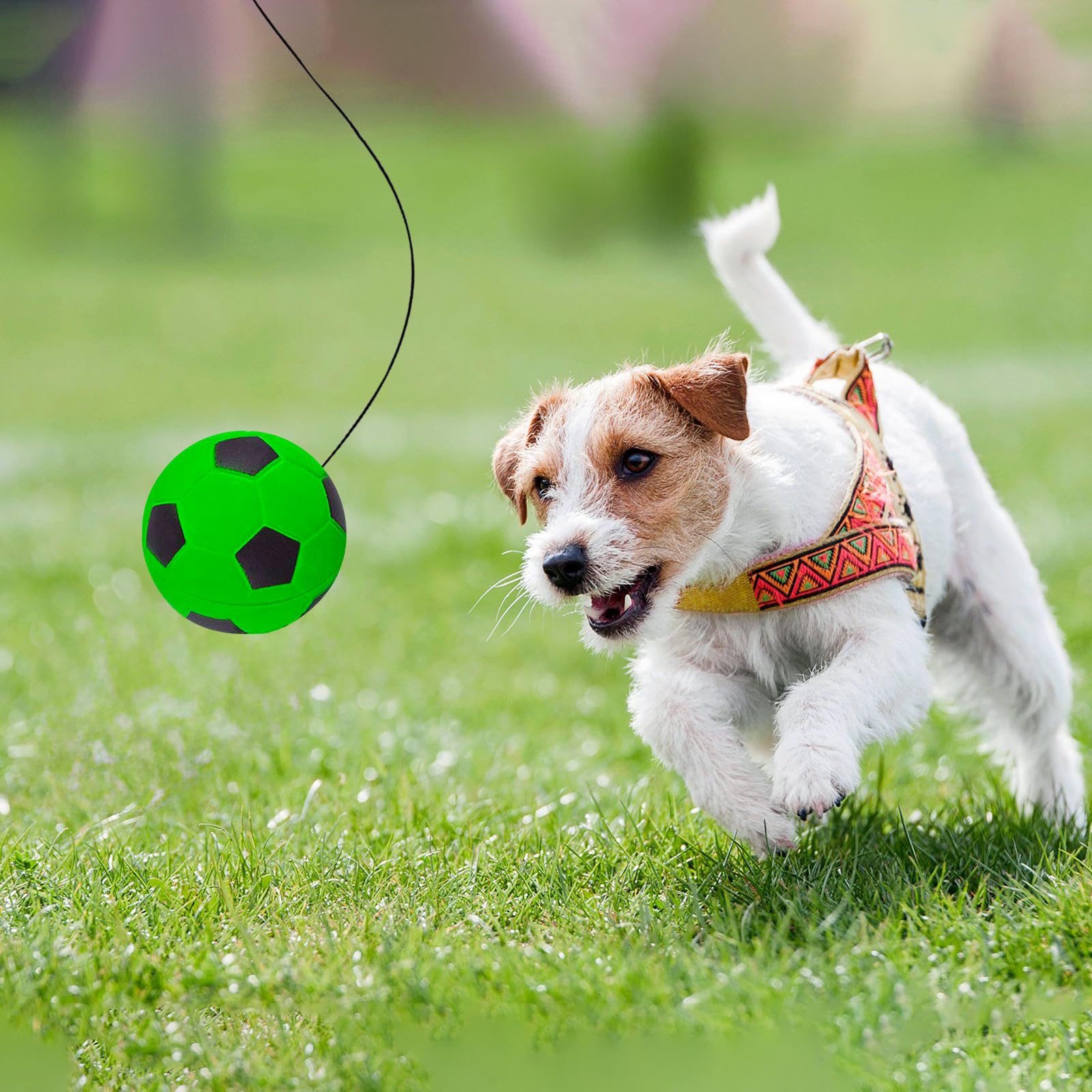 Palline Antistress 12 Pezzi, Stress Ball Globe, Palla Crumple Anti - Foto 2