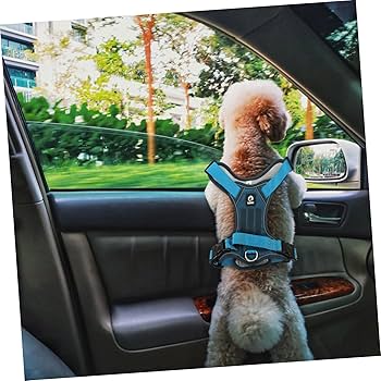 DOGDEPTハーネス&リード　Mサイズ DOG GOODS】ジャガードロゴ リード＆ソフトハーネスセット