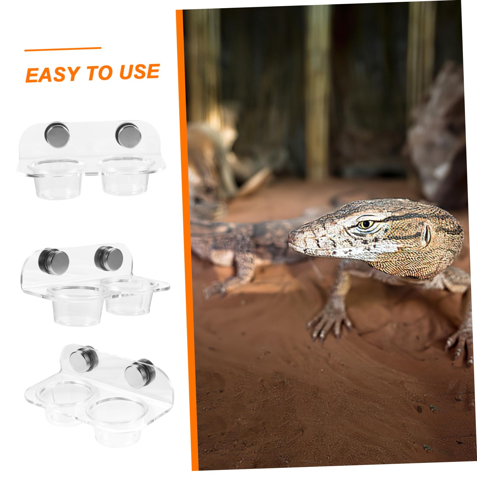 BESPORTBLE 4juegos Tazón Magnético para Reptiles Base Antideslizante Comedero y Bebedero para Lagartos y Tortugas Fácil De Limpiar y Duradero