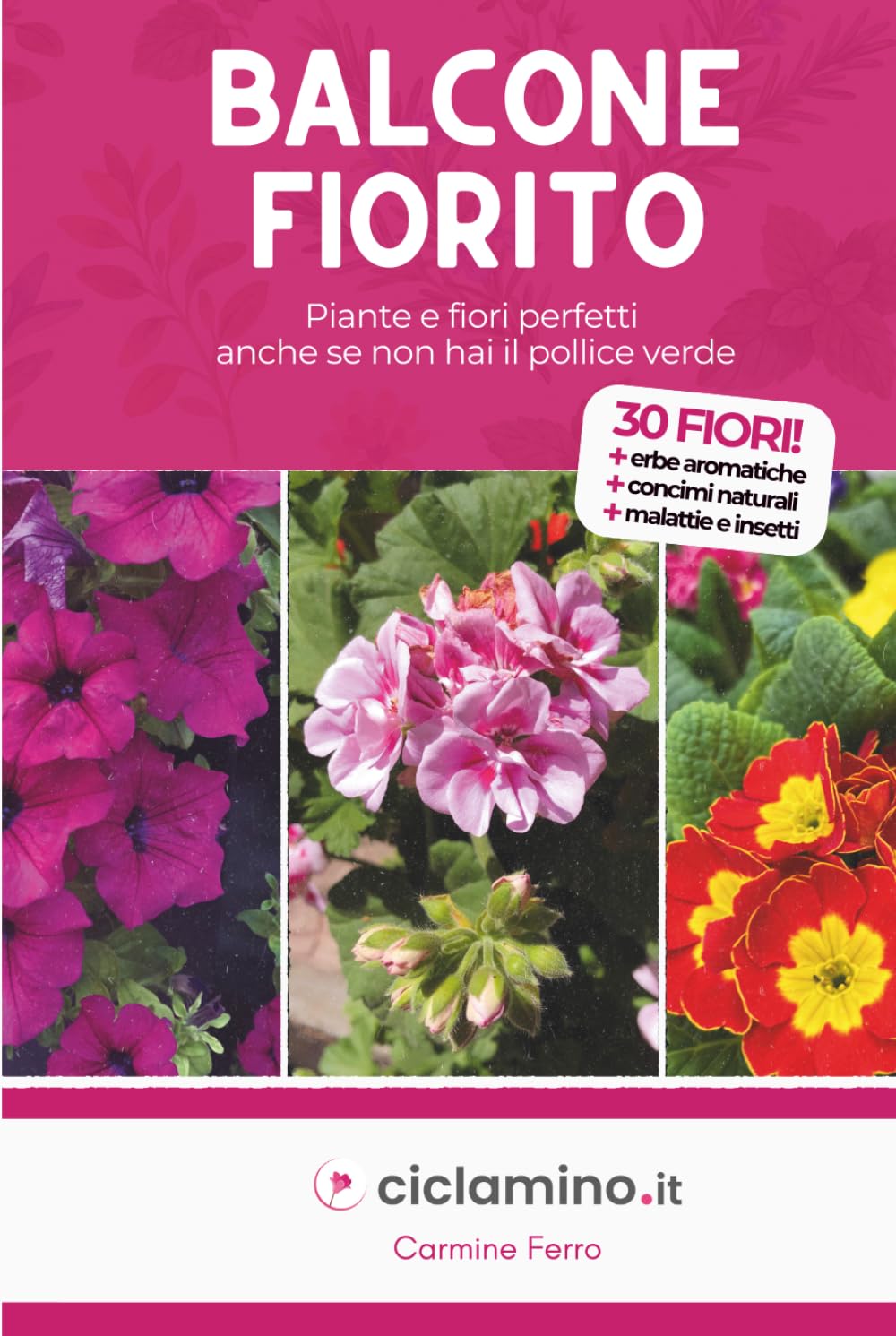 Balcone Fiorito: Piante e fiori perfetti anche se non hai il pollice verde
