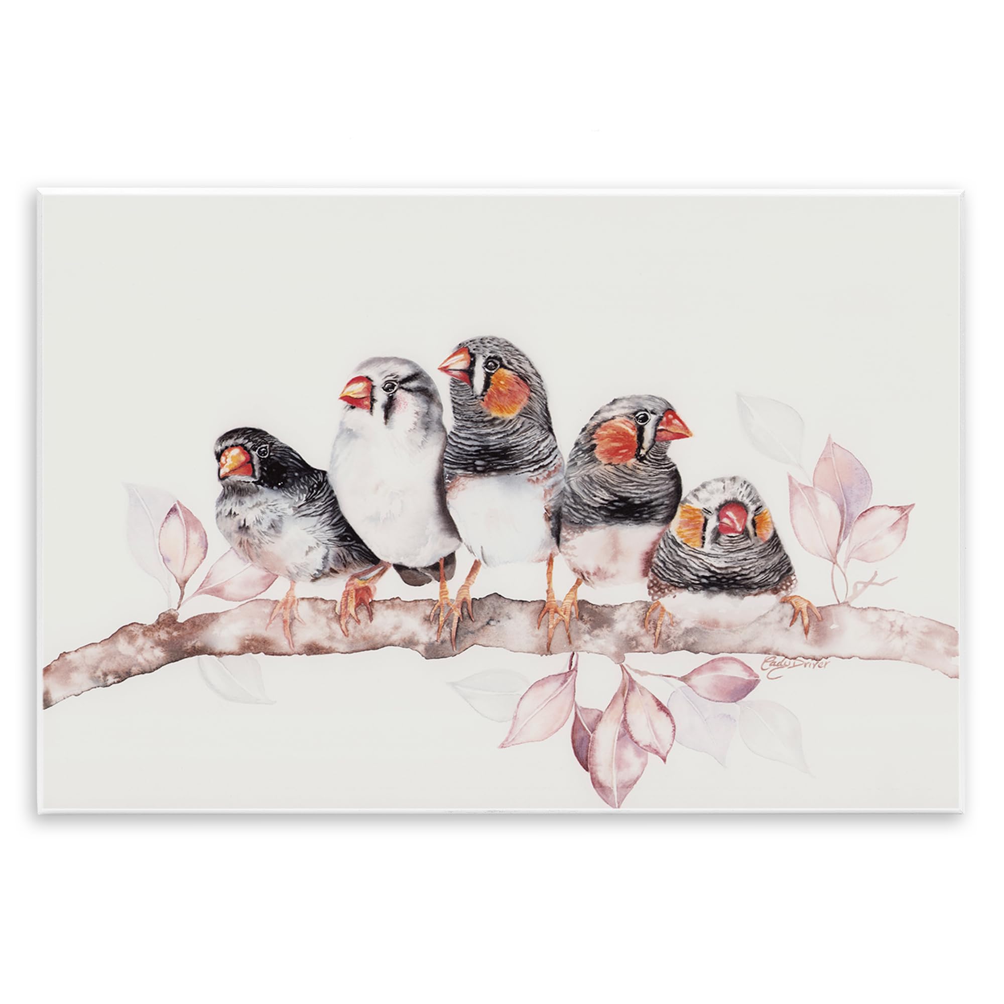 Stupell Industries Five Birds on Branch Wall Plaque Art, design by Cady Driver, 13 x 19