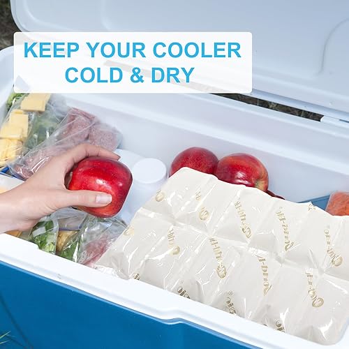 Miniatura 4 de Paquetes de hielo seco para envío de alimentos, 12 hojas, 12 celdashoja, paquetes de hielo para enfriador, envío perecederos de larga duración,